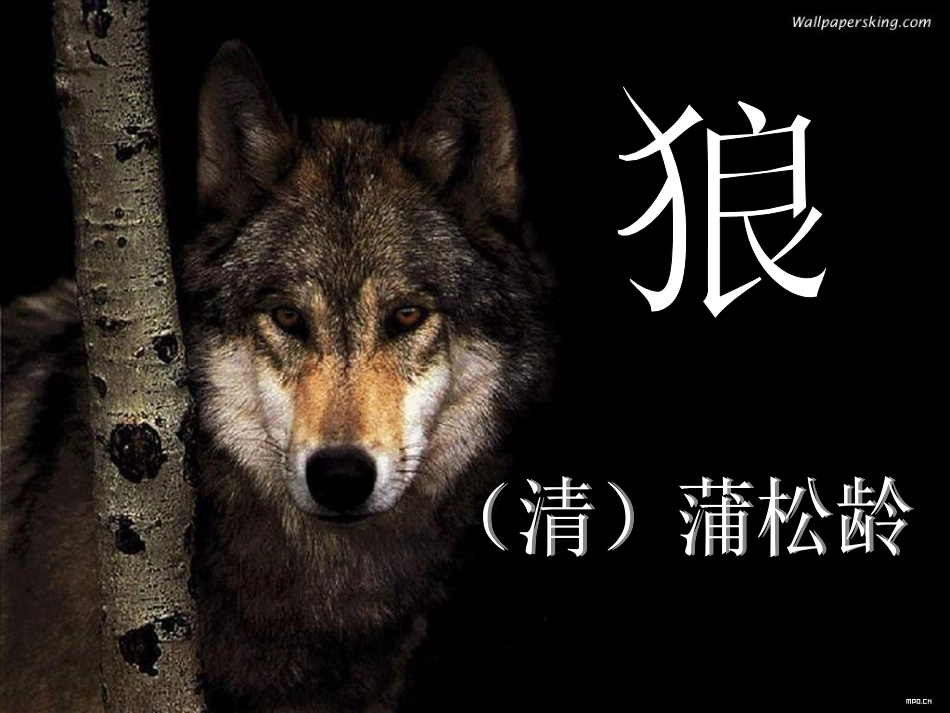 狼公开课曹芬_第2页