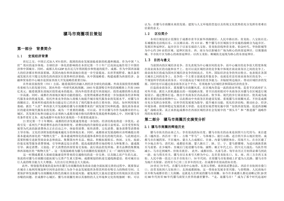 骡马市商圈项目市场分析+策划+定位_第1页
