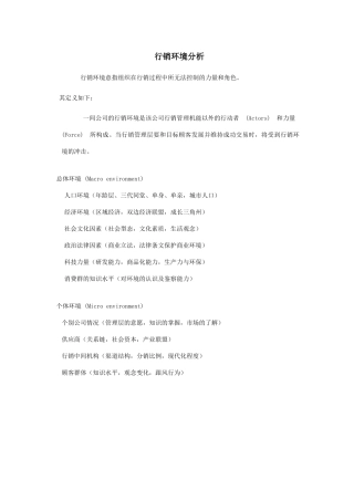 行销环境分析