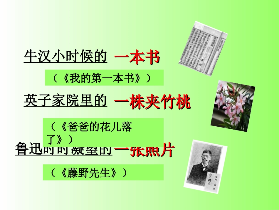 一花一净土_一沙一世界(以物为线索写人记事)_第1页