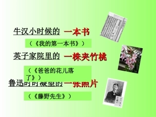 一花一净土_一沙一世界(以物为线索写人记事)