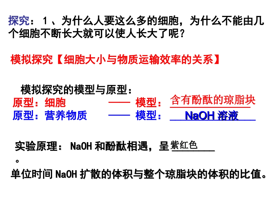 第六章第一节细胞增殖_第2页