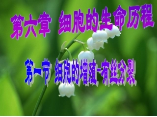 第六章第一节细胞增殖