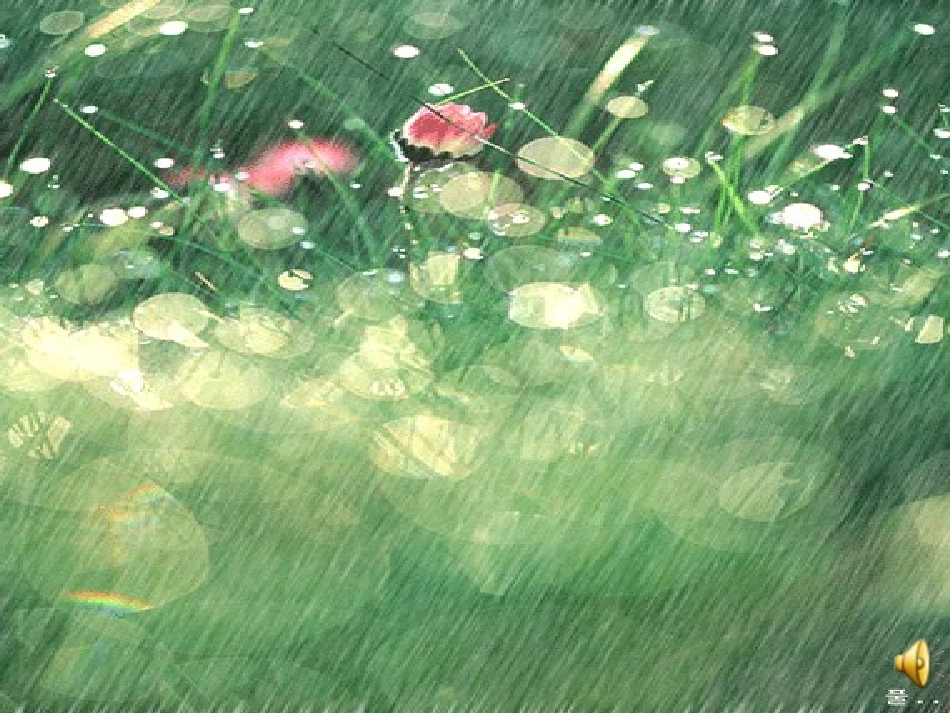 《雨点》教学课件_第1页