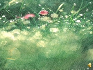 《雨点》教学课件