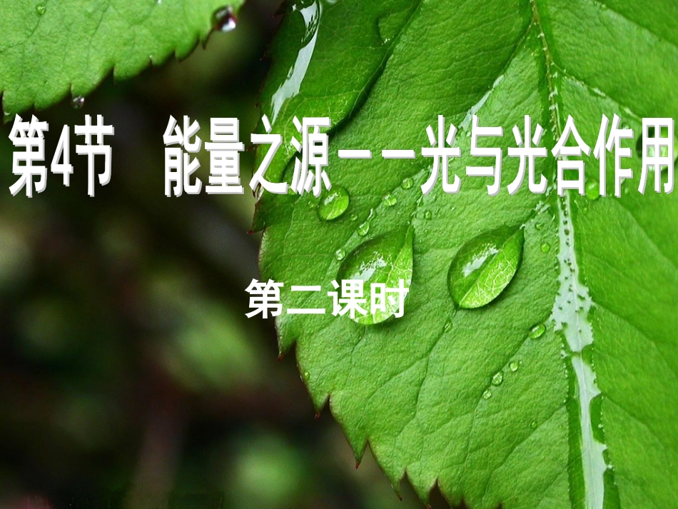 光合作用第二课时_第1页