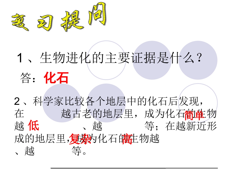 生命进化的长河_第2页