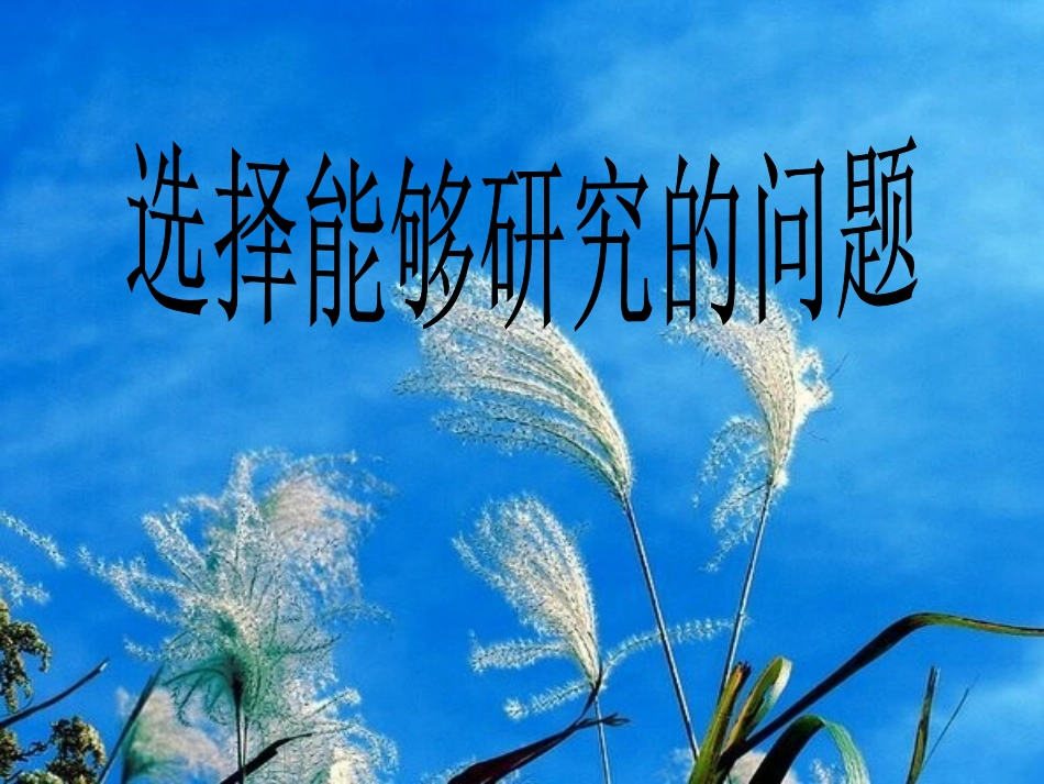 选择能够研究的问题_第1页