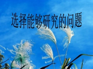 选择能够研究的问题