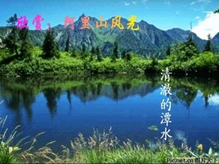 《阿里山纪行》