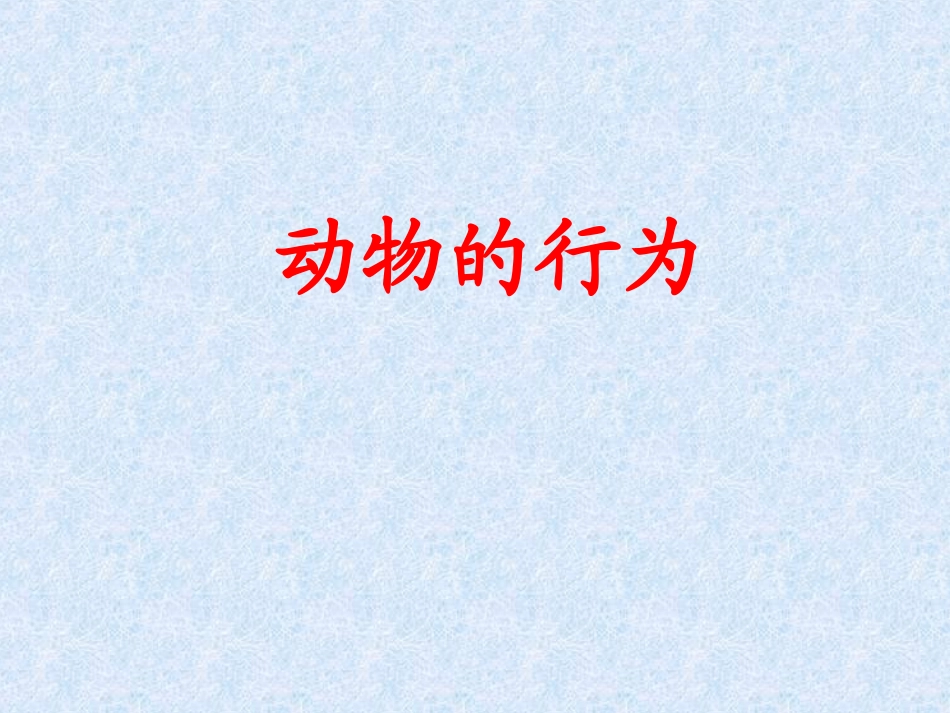 生物奥赛-动物行为学-课件_第1页