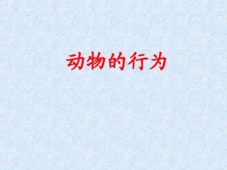 生物奥赛-动物行为学-课件