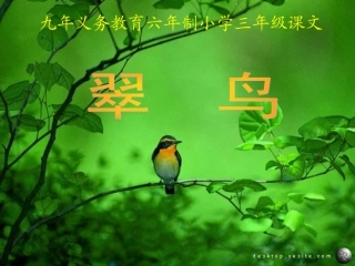《翠鸟》教学课件（汤天才）