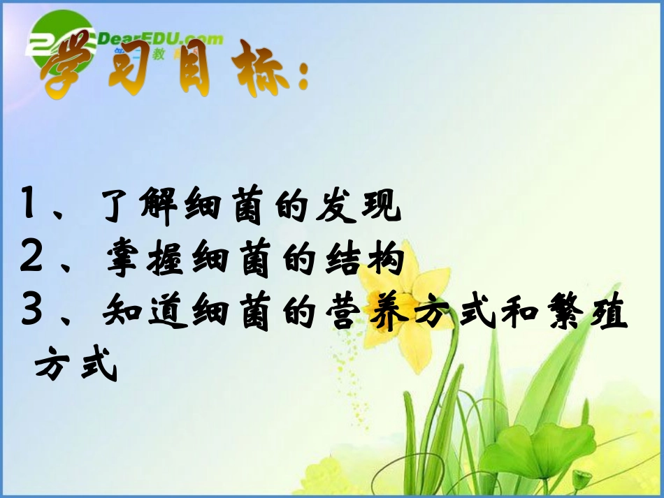 八年级生物上册_第二节_细菌课件人教版_第2页