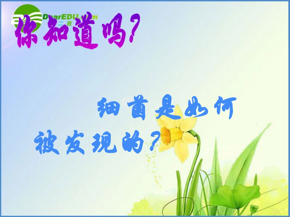 八年级生物上册_第二节_细菌课件人教版_第3页