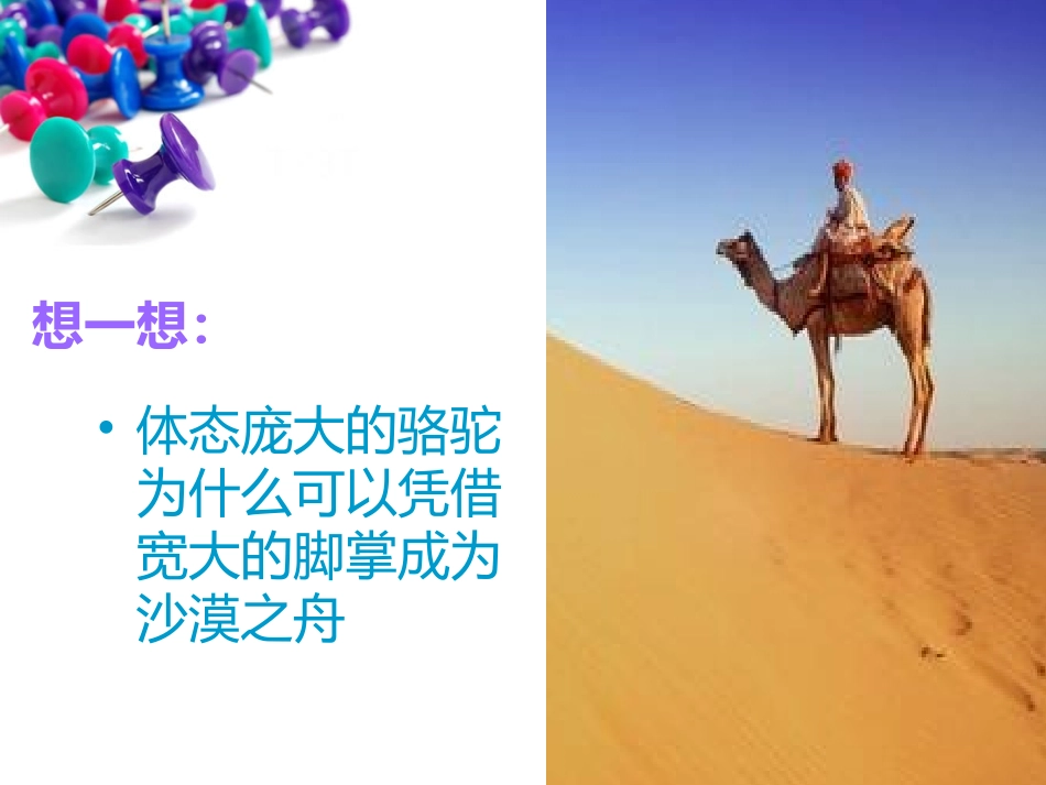 初中物理《压强》PPT_第3页