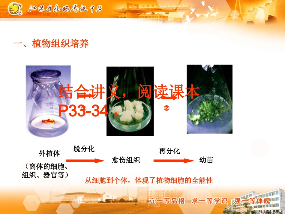 植物细胞工程_第2页