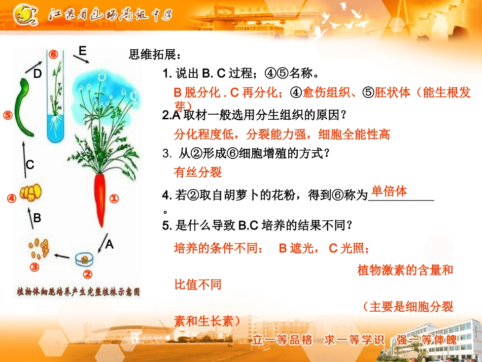 植物细胞工程_第3页