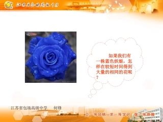 植物细胞工程