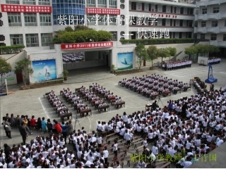 (中小学精品）紫阳小学体育教学课件
