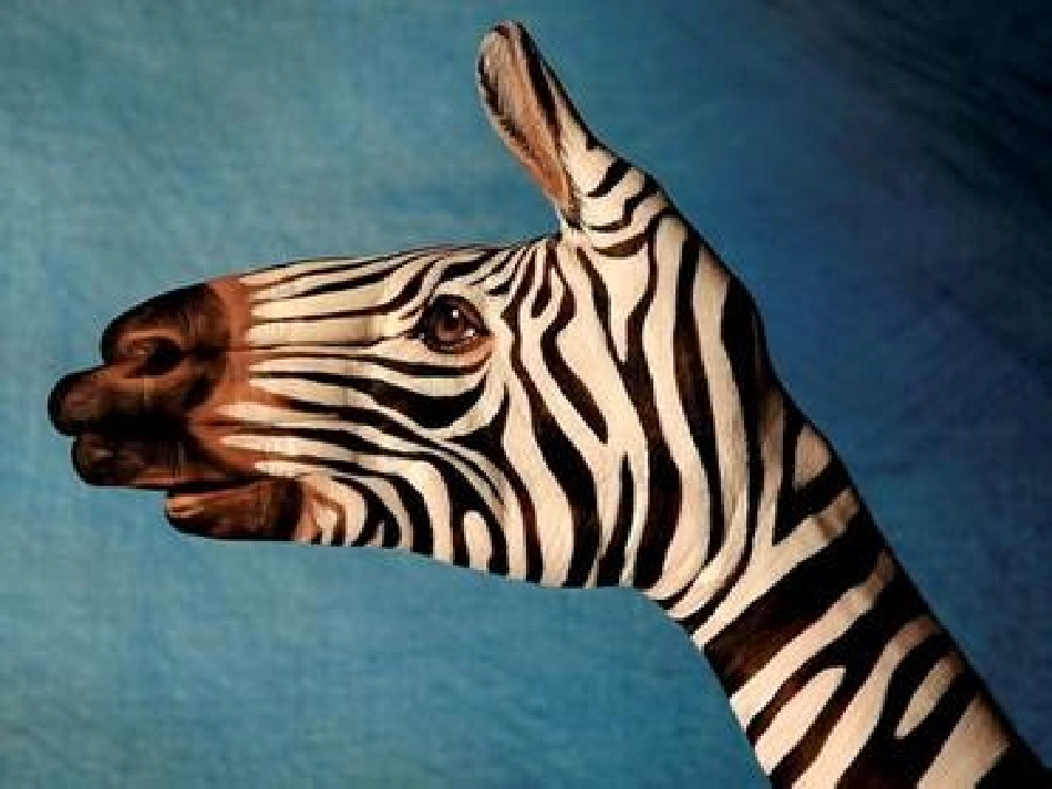 神奇的手指课件_第2页