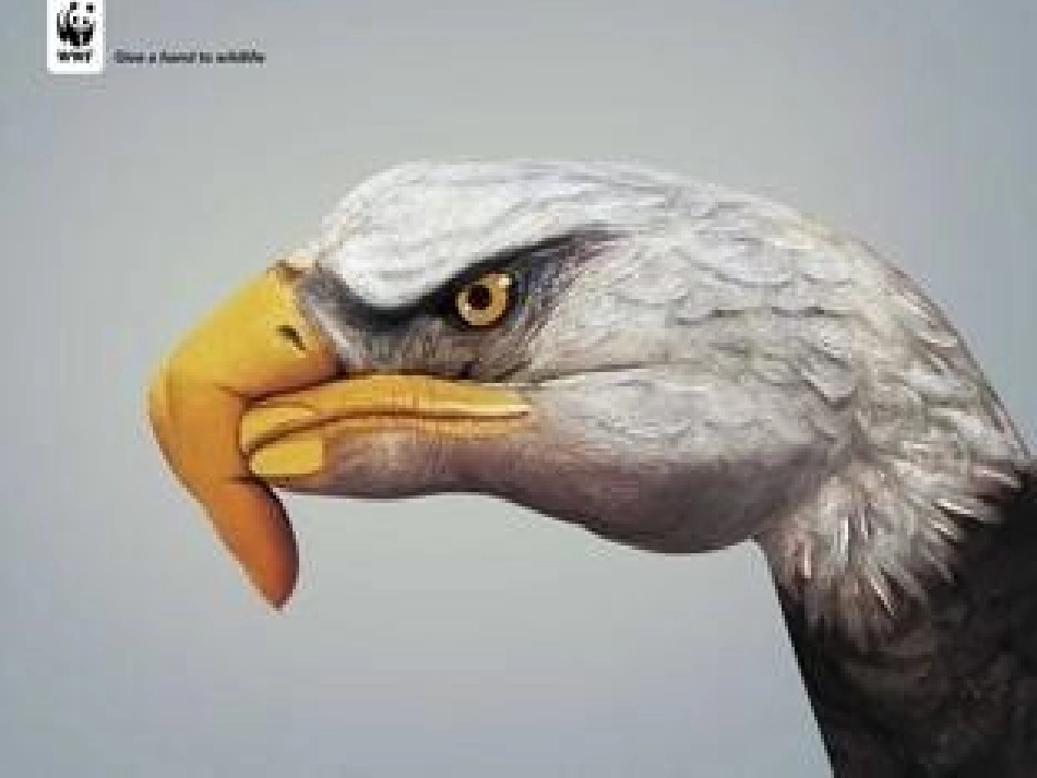 神奇的手指课件_第3页