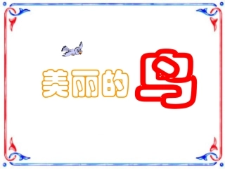 《美丽的鸟》教学课件