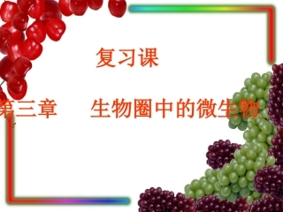 (中小学精品）微生物复习