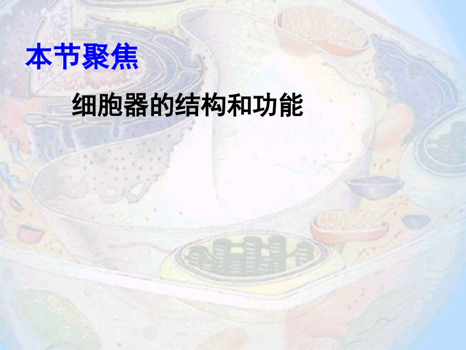 《细胞器──系统内的分工合作》_第2页