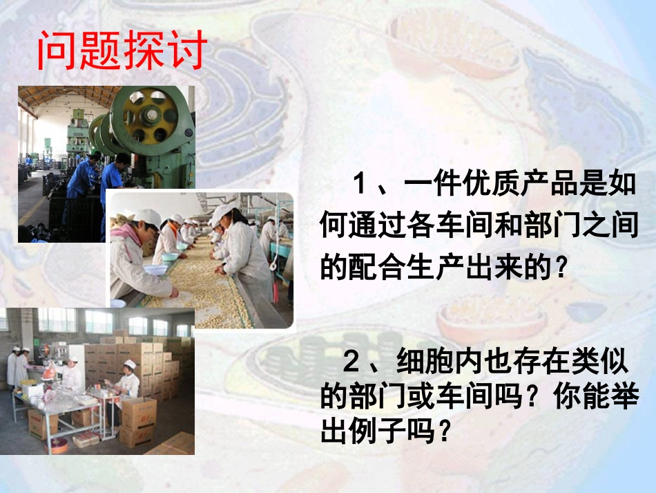 《细胞器──系统内的分工合作》_第3页