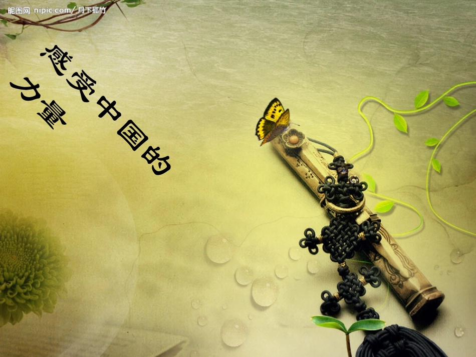 (中小学精品）我们的社会主义祖国_第2页