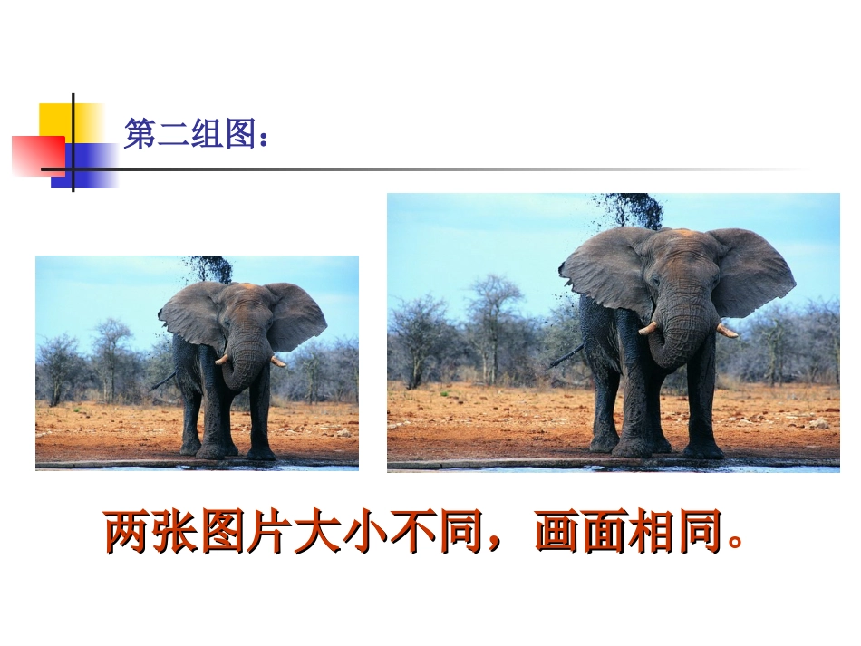 六上图形放大缩小_第3页