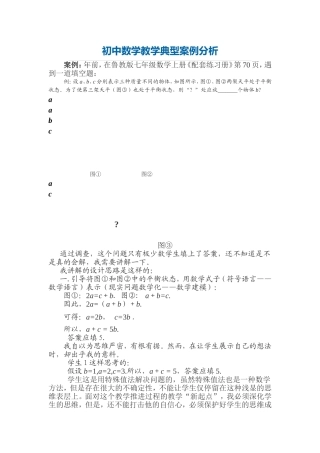 《初中数学教学案例》