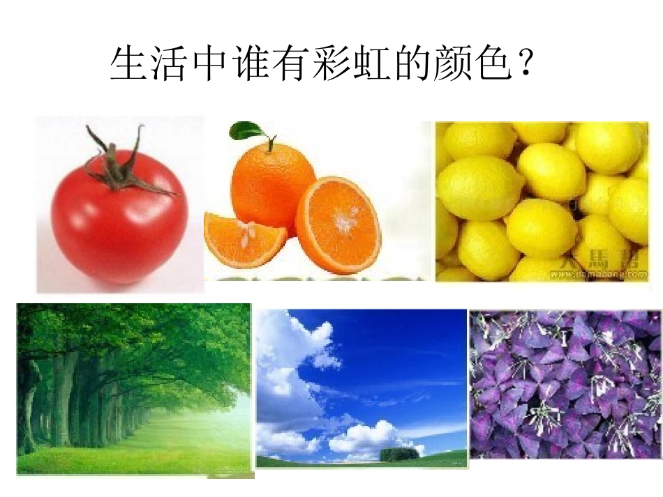 缤纷的色彩乐园_第3页