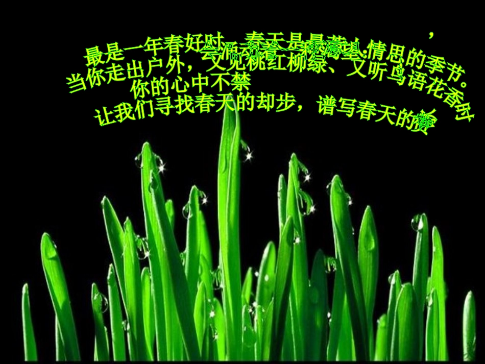 《寻觅春天的踪迹》首选课件_第3页