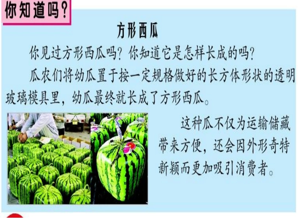 长方体的认识讲_第2页