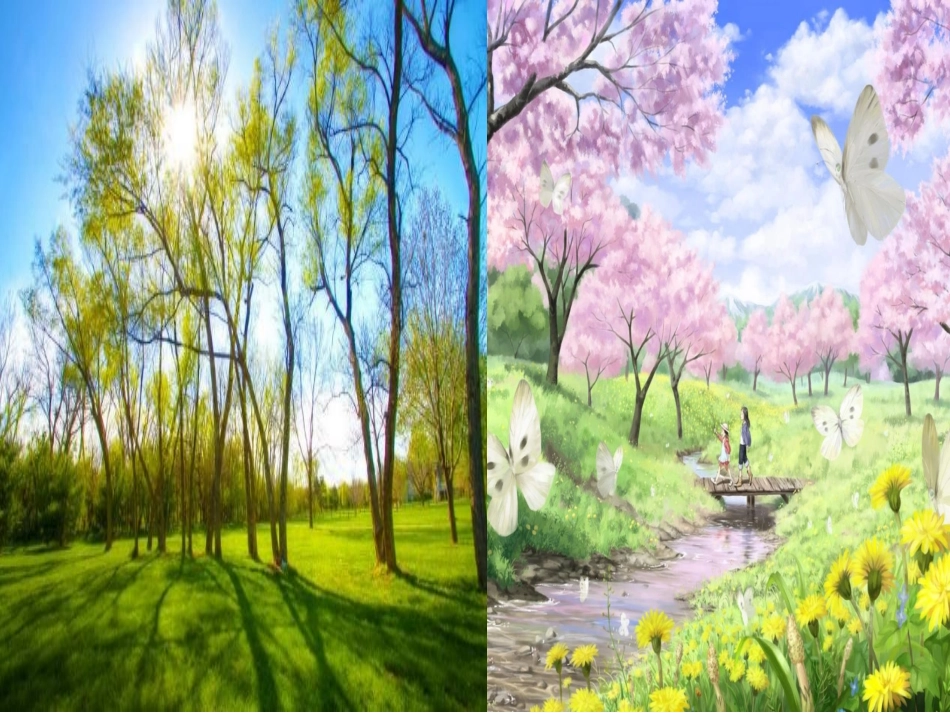 和我们一样享受春天_第2页