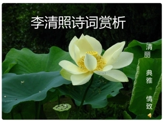 (中小学精品）李清照诗词赏析