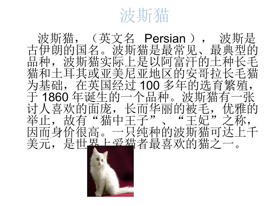 猫咪小组调查_第2页