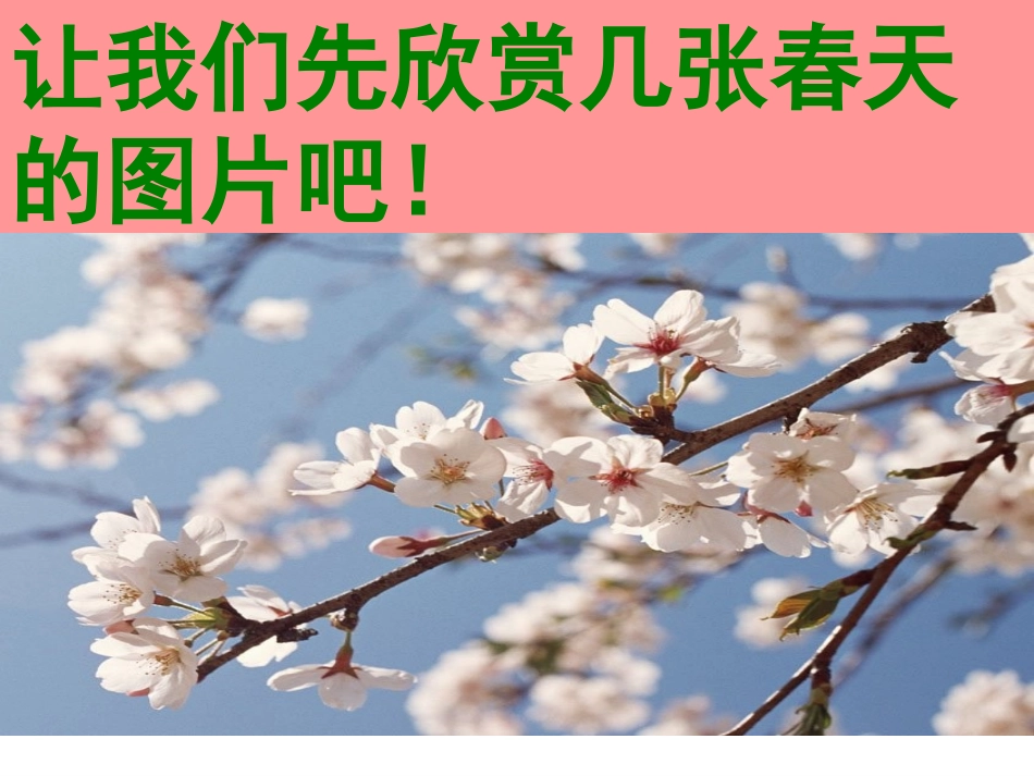 qy《燕子》PPT课件_第2页