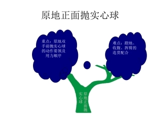 原地正面抛实心球