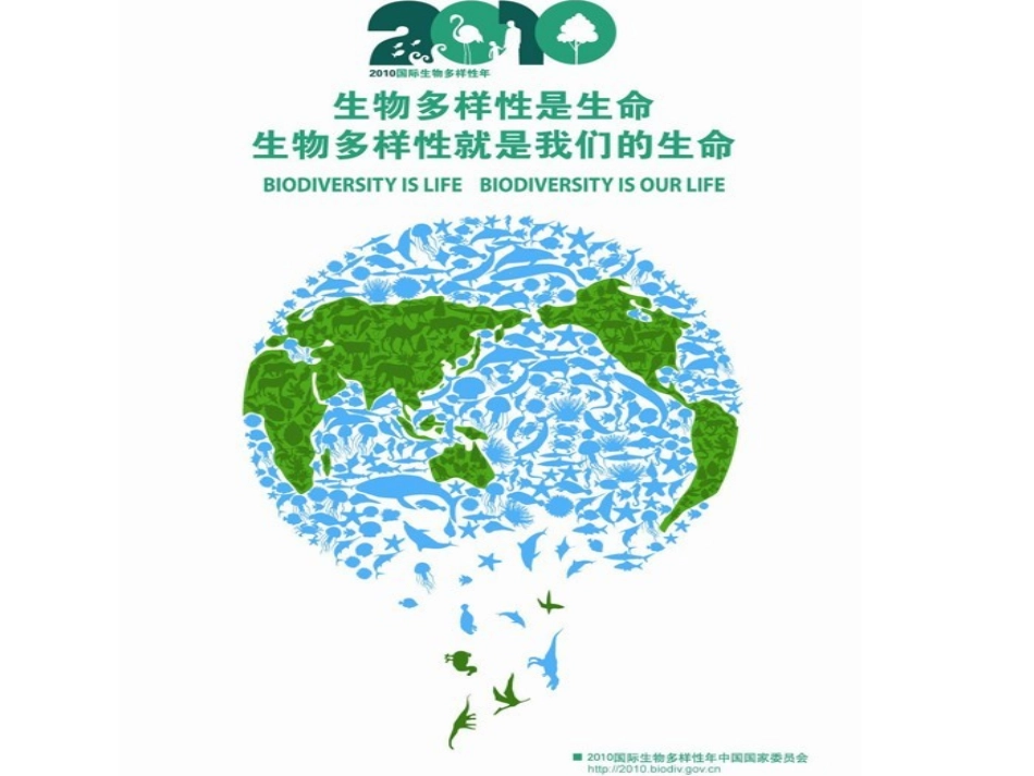 假如气温升高六度_第2页