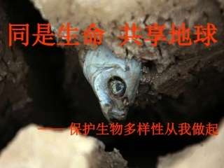 假如气温升高六度