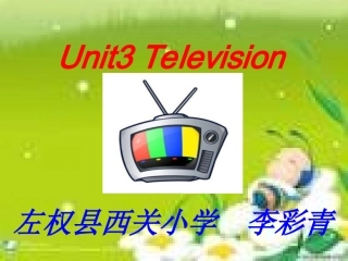 三单对电视节目的喜好