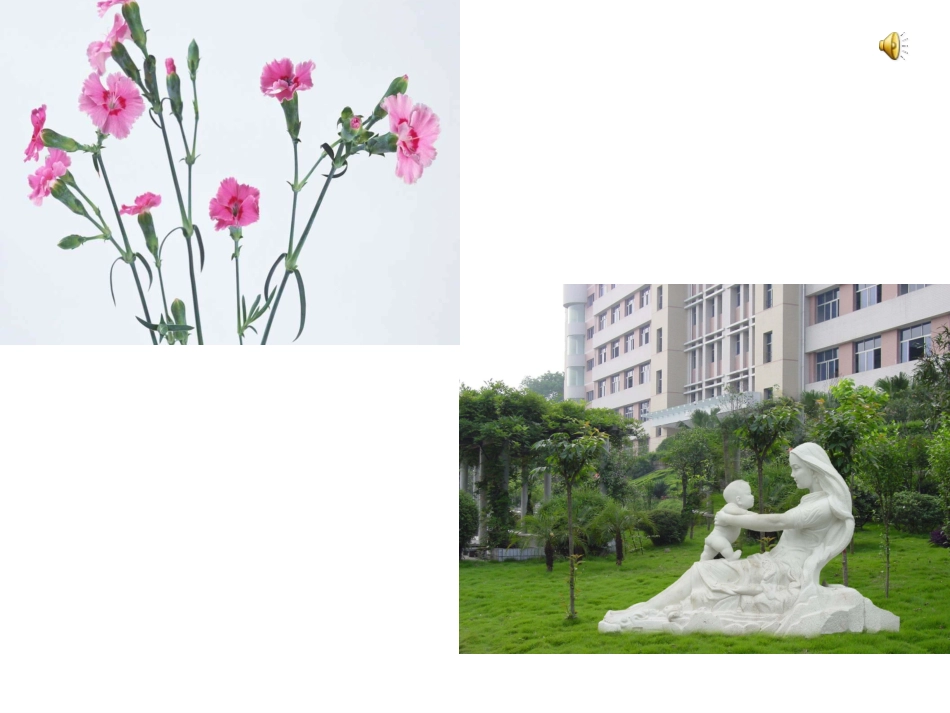 看不见的爱PPT_第1页