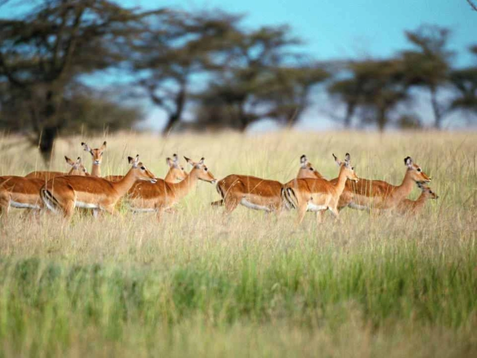 （中小学精品）作为生物的社会_第2页