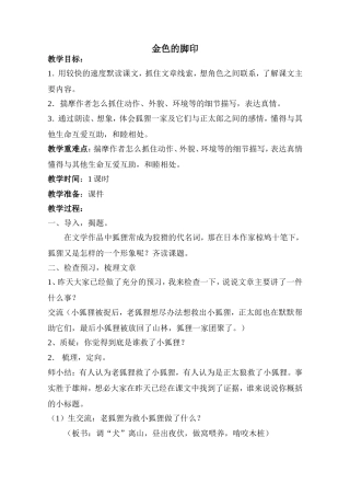 《金色的脚印》教案