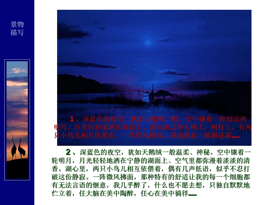 一花一草皆显情_第2页