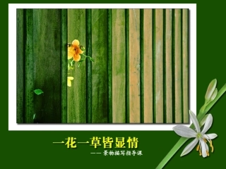 一花一草皆显情