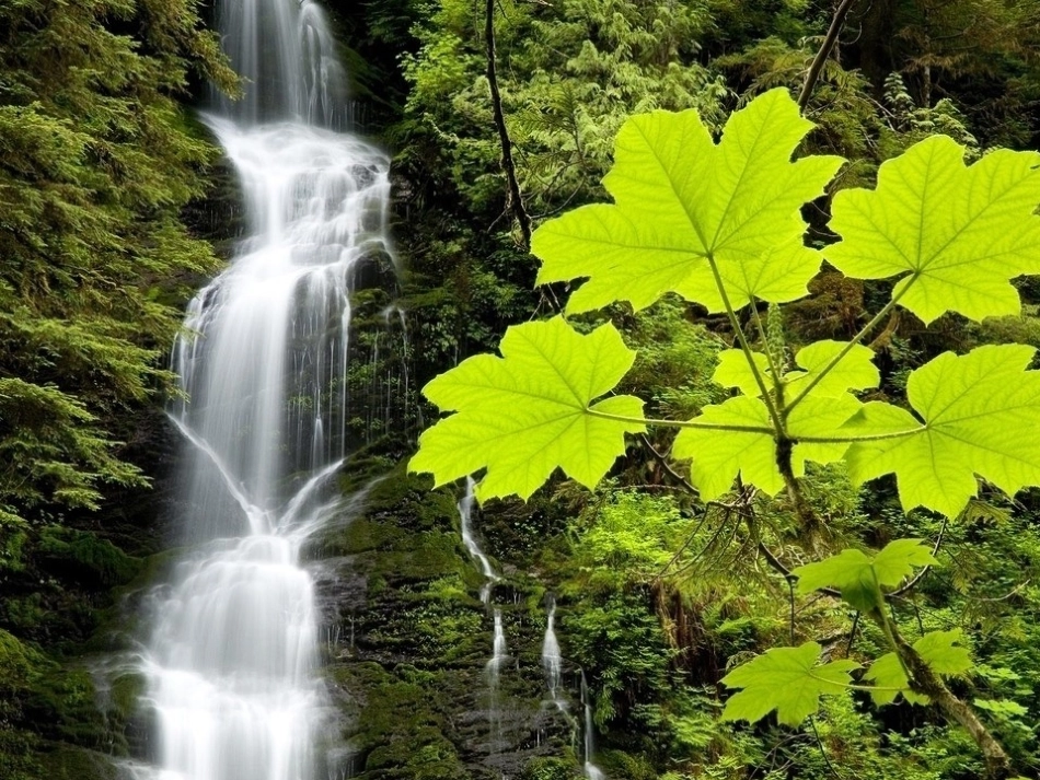 第一单元自然景观作文_第2页